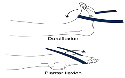 ANKLE DORSIFLEXION/PLANTAR FLEXION